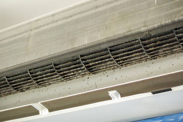 Best Air Duct Cleaning Near Me  in Jonesboro, AR